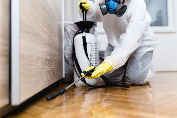 Best Best Pest Control Companies  in Dent, OH