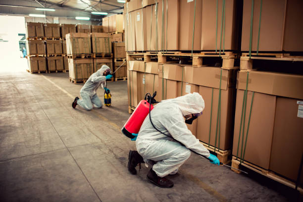 Best Affordable Pest Control Services  in Dent, OH