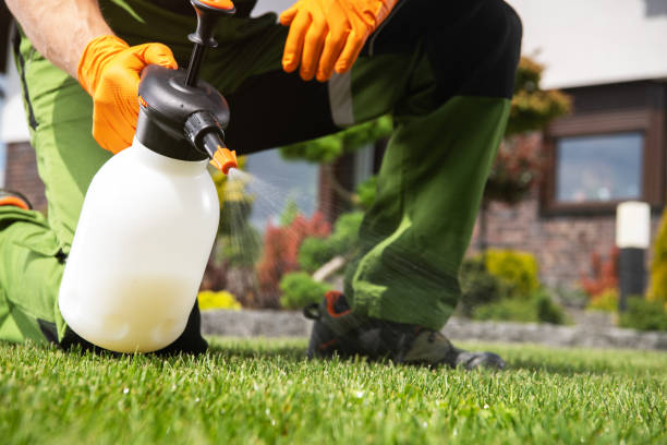 Best Local Pest Control Services  in Dent, OH