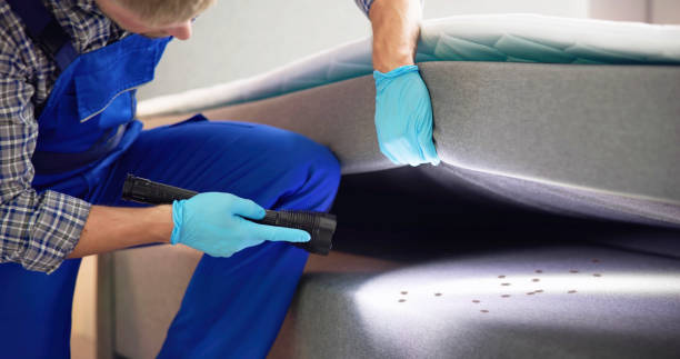 Best Best Pest Control Companies  in Dent, OH