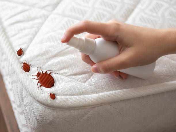 Best Pest Control for Homes  in Dent, OH