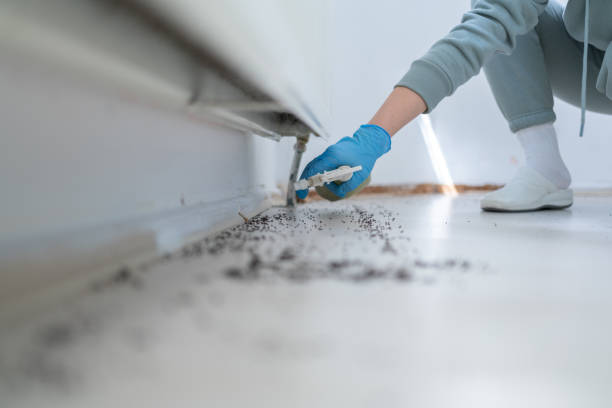 Best Bed Bug Extermination  in Dent, OH