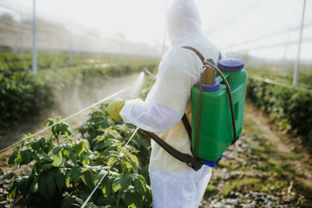 Best Flea Control Services  in Dent, OH
